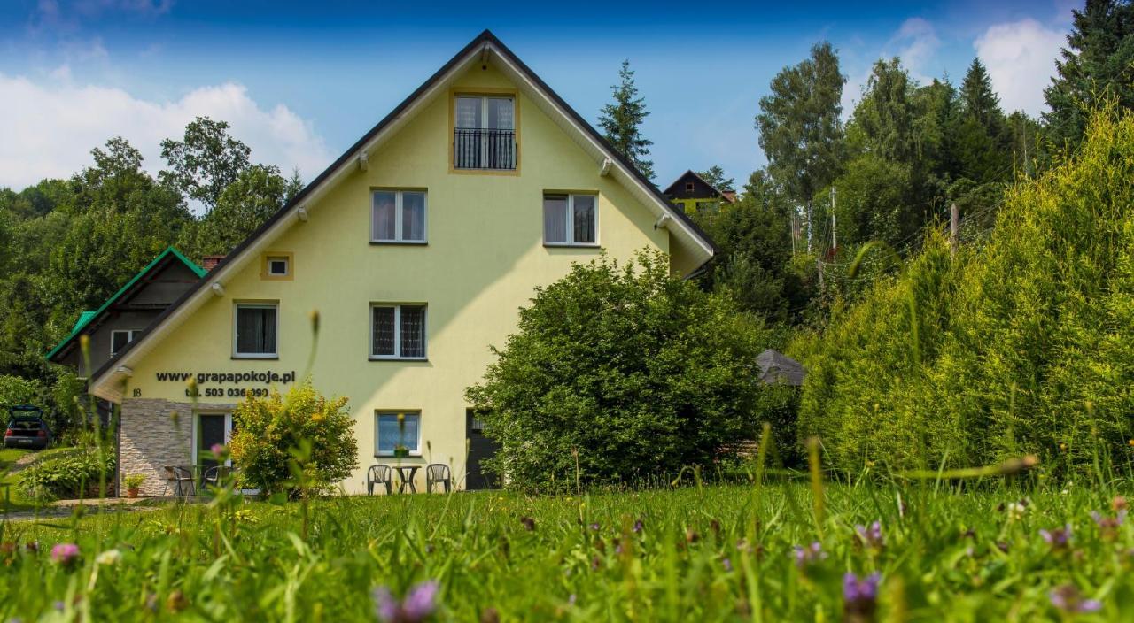 Apartamenty Grapa Szum Rzeki Parking Free Висла Экстерьер фото