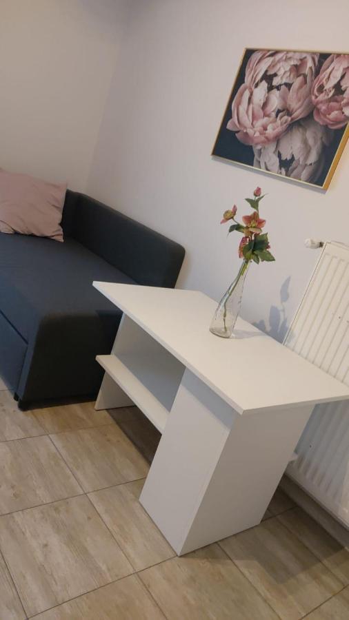 Apartamenty Grapa Szum Rzeki Parking Free Висла Экстерьер фото