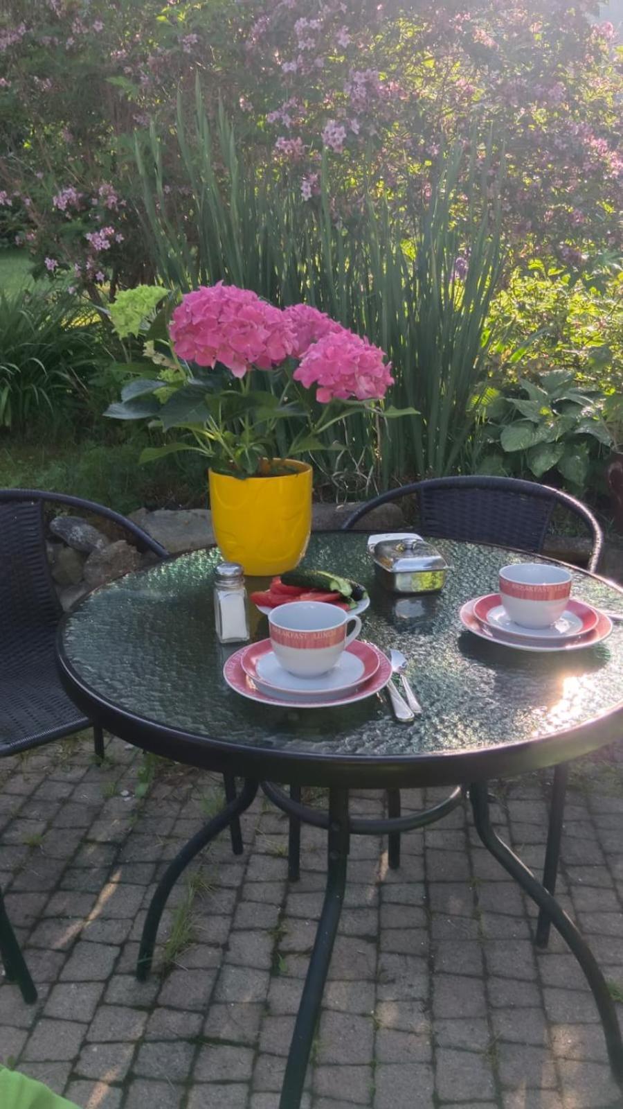 Apartamenty Grapa Szum Rzeki Parking Free Висла Экстерьер фото