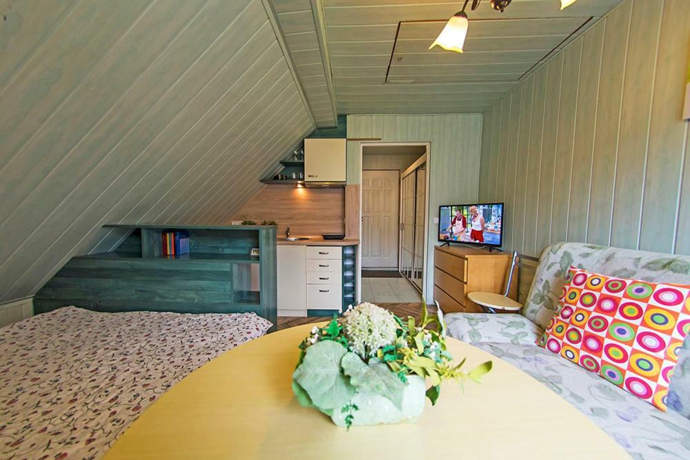 Apartamenty Grapa Szum Rzeki Parking Free Висла Экстерьер фото