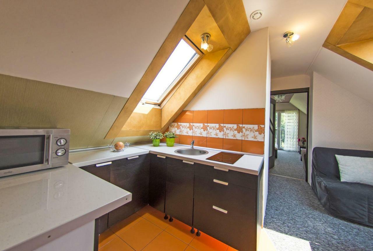 Apartamenty Grapa Szum Rzeki Parking Free Висла Экстерьер фото